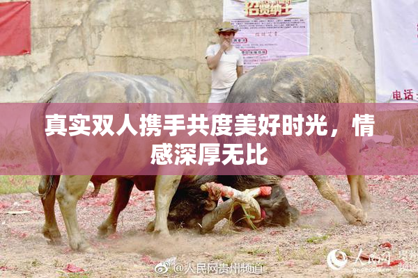 真实双人携手共度美好时光，情感深厚无比