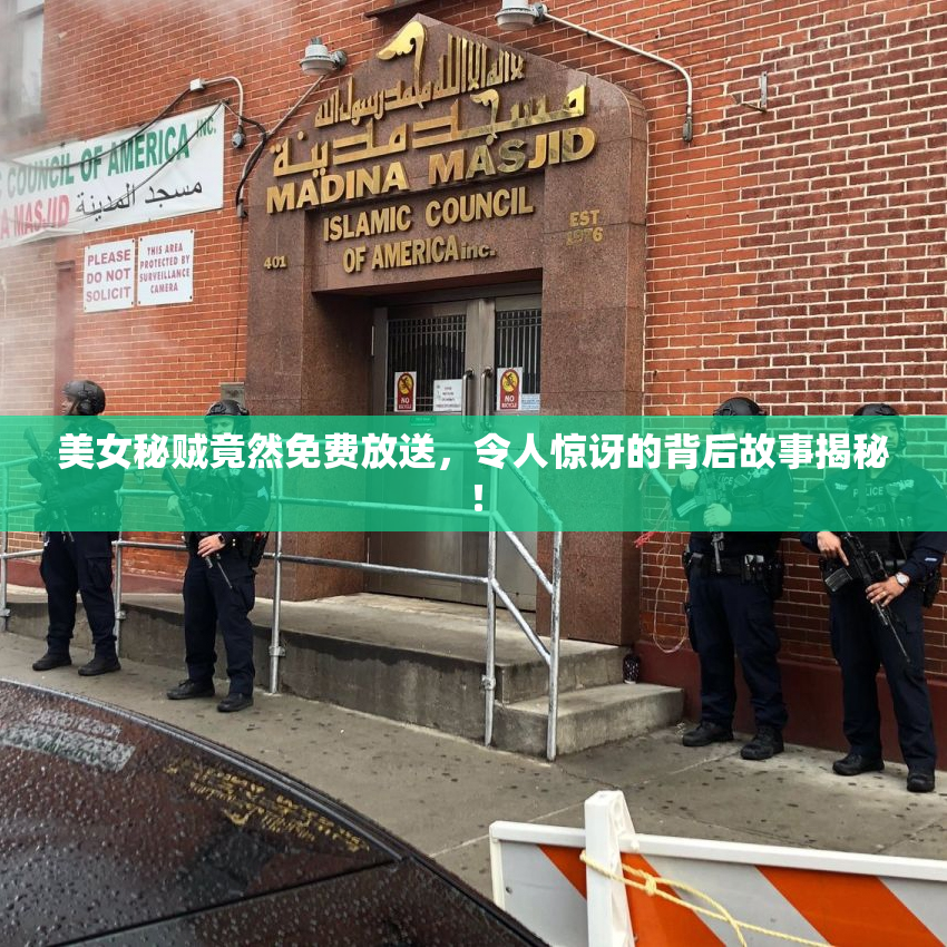 美女秘贼竟然免费放送，令人惊讶的背后故事揭秘！
