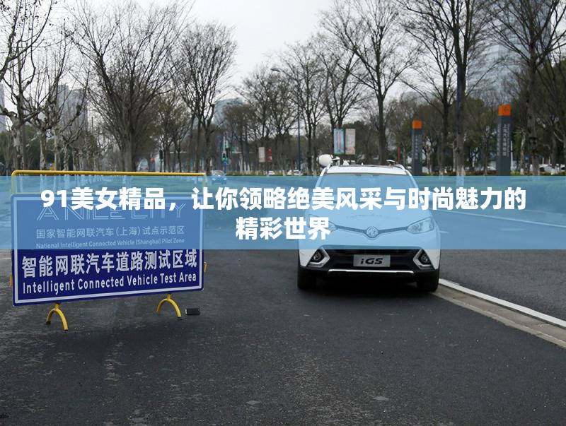 91美女精品，让你领略绝美风采与时尚魅力的精彩世界