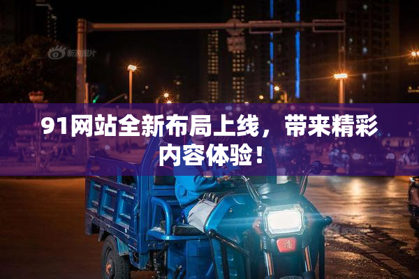 91网站全新布局上线，带来精彩内容体验！