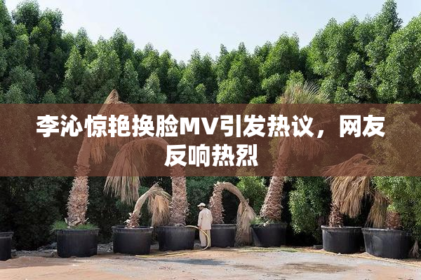 李沁惊艳换脸MV引发热议，网友反响热烈