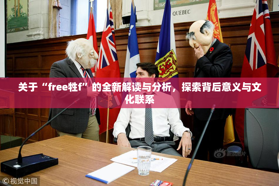 关于“free牲f”的全新解读与分析，探索背后意义与文化联系