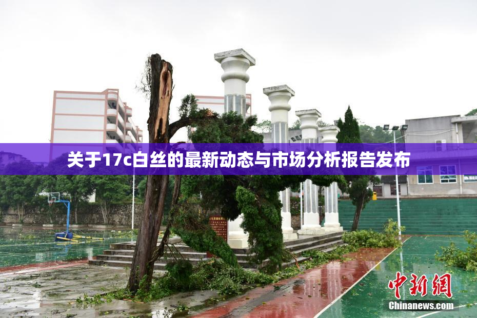 关于17c白丝的最新动态与市场分析报告发布