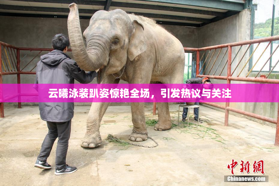 云曦泳装趴姿惊艳全场，引发热议与关注