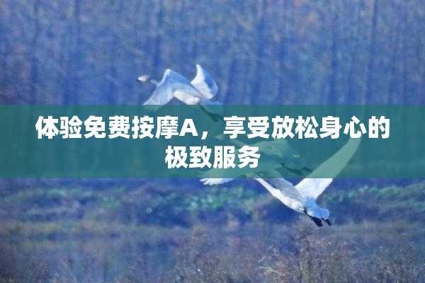 体验免费按摩A，享受放松身心的极致服务