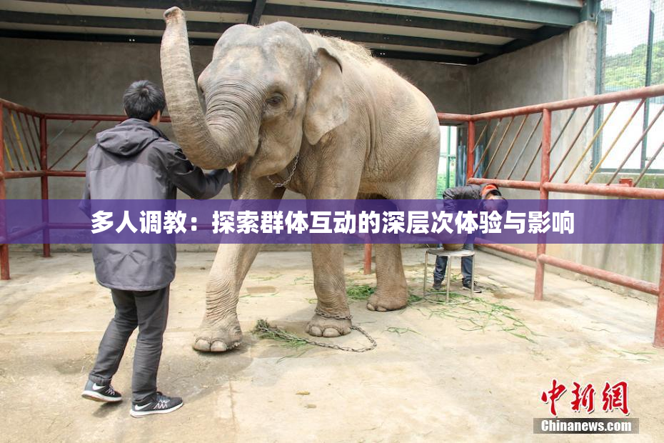 多人调教：探索群体互动的深层次体验与影响