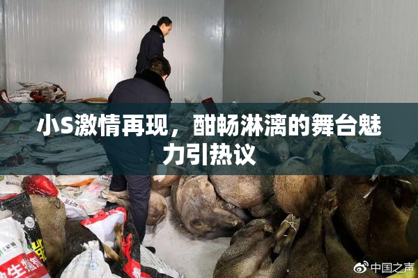 小S激情再现，酣畅淋漓的舞台魅力引热议