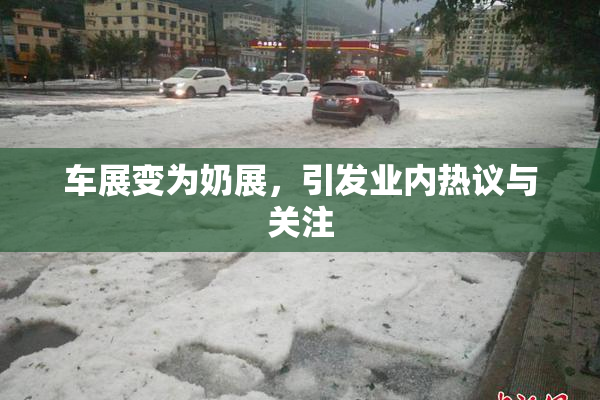 车展变为奶展，引发业内热议与关注