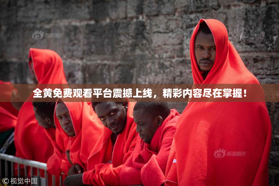 全黄免费观看平台震撼上线，精彩内容尽在掌握！