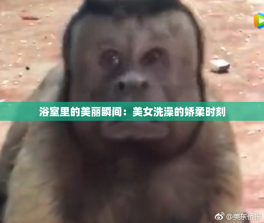 浴室里的美丽瞬间：美女洗澡的娇柔时刻