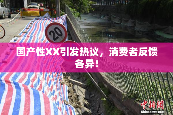 国产性XX引发热议，消费者反馈各异！