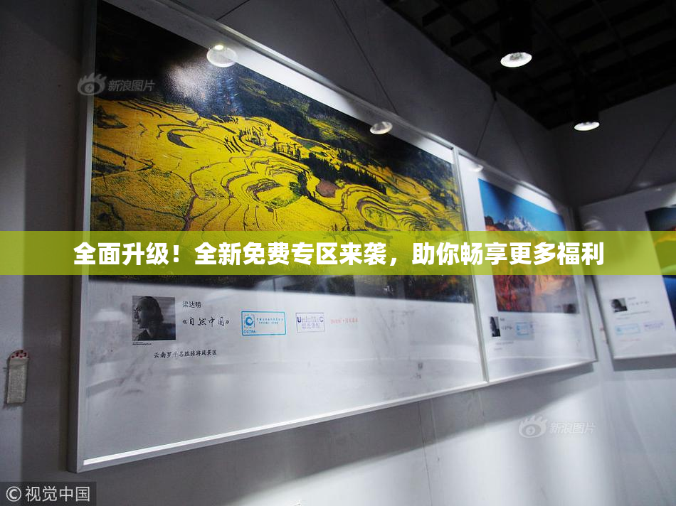 全面升级！全新免费专区来袭，助你畅享更多福利