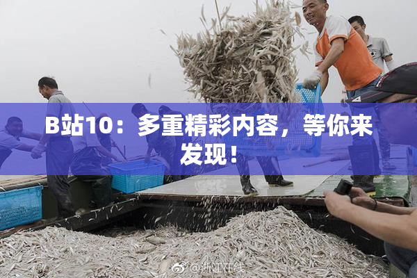 B站10：多重精彩内容，等你来发现！