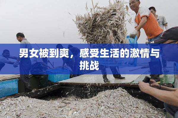 男女被到爽，感受生活的激情与挑战