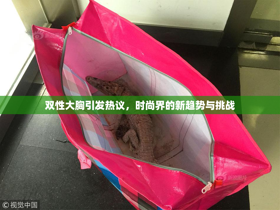 双性大胸引发热议，时尚界的新趋势与挑战