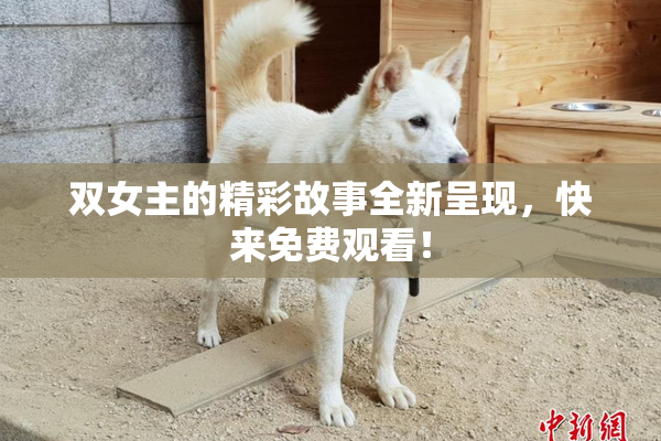 双女主的精彩故事全新呈现，快来免费观看！