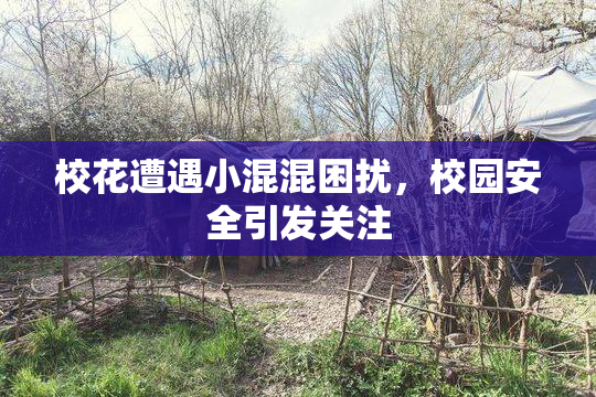 校花遭遇小混混困扰，校园安全引发关注