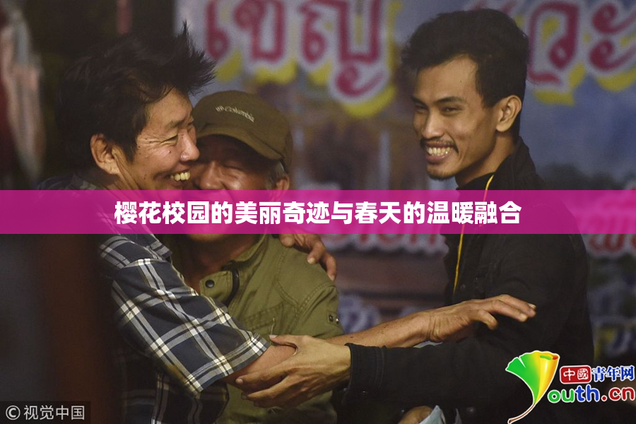 樱花校园的美丽奇迹与春天的温暖融合