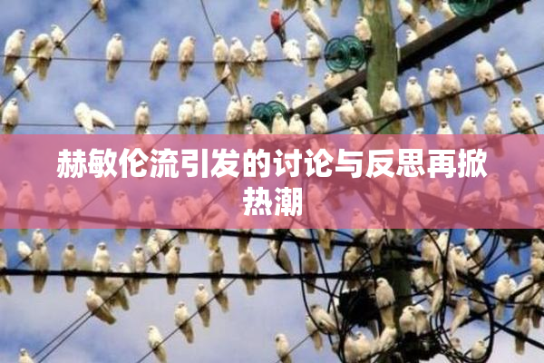 赫敏伦流引发的讨论与反思再掀热潮
