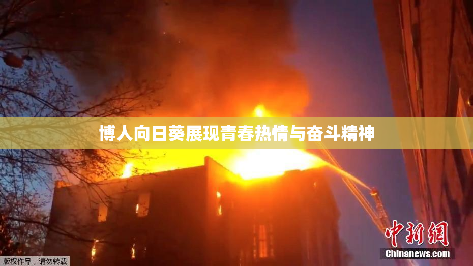 博人向日葵展现青春热情与奋斗精神
