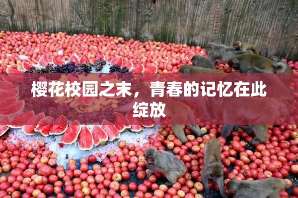 樱花校园之末，青春的记忆在此绽放