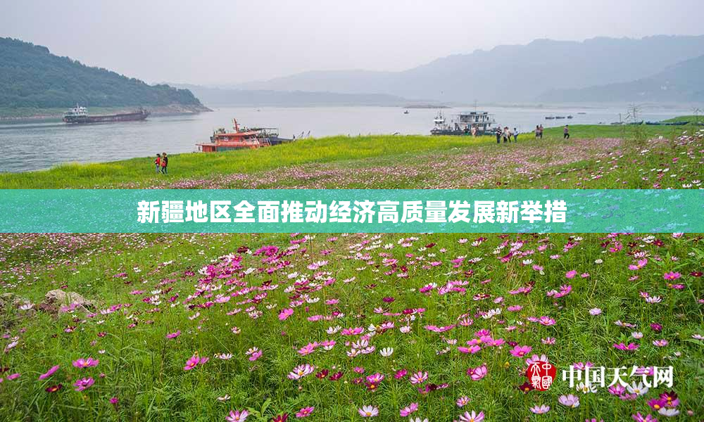 新疆地区全面推动经济高质量发展新举措