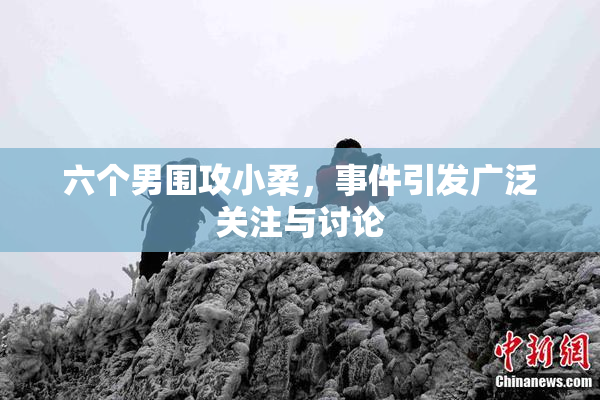 六个男围攻小柔，事件引发广泛关注与讨论
