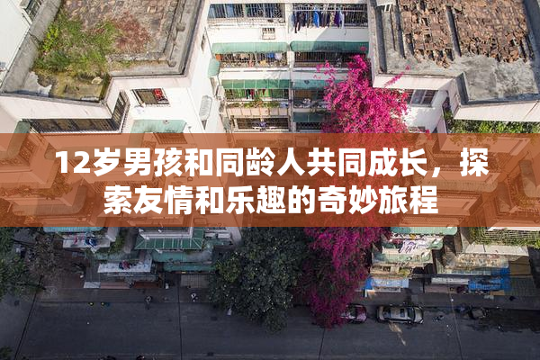 12岁男孩和同龄人共同成长，探索友情和乐趣的奇妙旅程