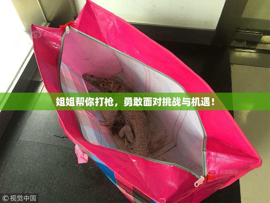 姐姐帮你打枪，勇敢面对挑战与机遇！