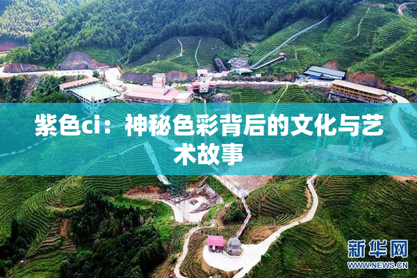紫色ci：神秘色彩背后的文化与艺术故事