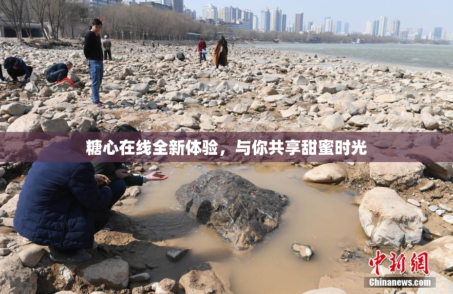 糖心在线全新体验，与你共享甜蜜时光