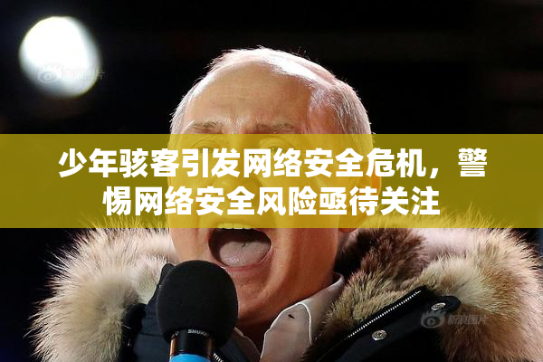 少年骇客引发网络安全危机，警惕网络安全风险亟待关注