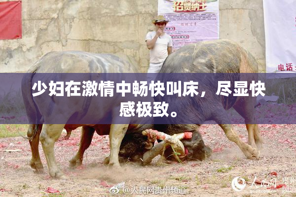 少妇在激情中畅快叫床，尽显快感极致。