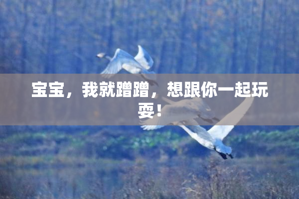 宝宝，我就蹭蹭，想跟你一起玩耍！
