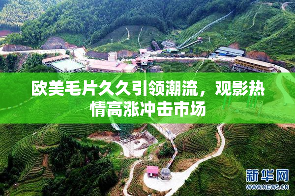 欧美毛片久久引领潮流，观影热情高涨冲击市场