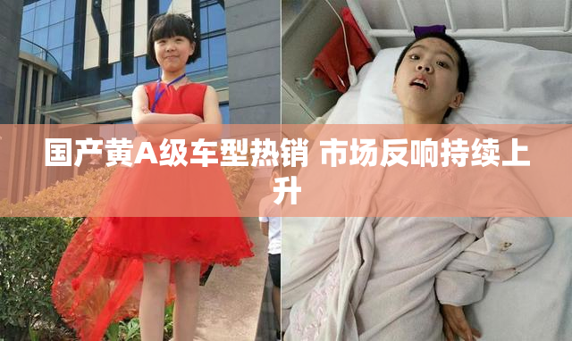 国产黄A级车型热销 市场反响持续上升
