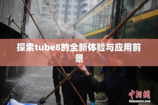 探索tube8的全新体验与应用前景