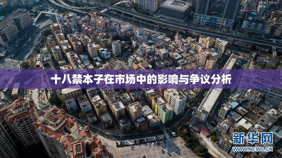 十八禁本子在市场中的影响与争议分析