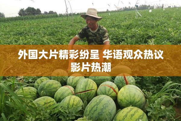 外国大片精彩纷呈 华语观众热议影片热潮