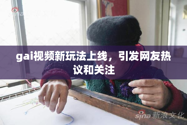 gai视频新玩法上线，引发网友热议和关注