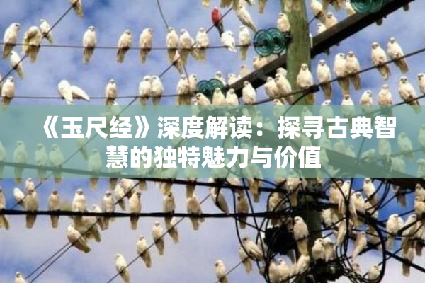 《玉尺经》深度解读：探寻古典智慧的独特魅力与价值
