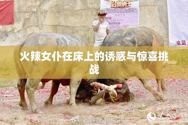 火辣女仆在床上的诱惑与惊喜挑战