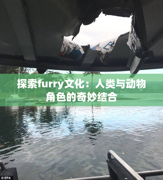 探索furry文化：人类与动物角色的奇妙结合