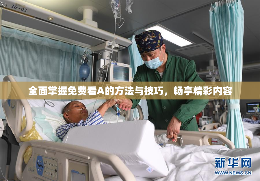 全面掌握免费看A的方法与技巧，畅享精彩内容