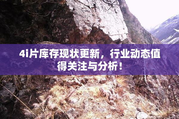 4i片库存现状更新，行业动态值得关注与分析！