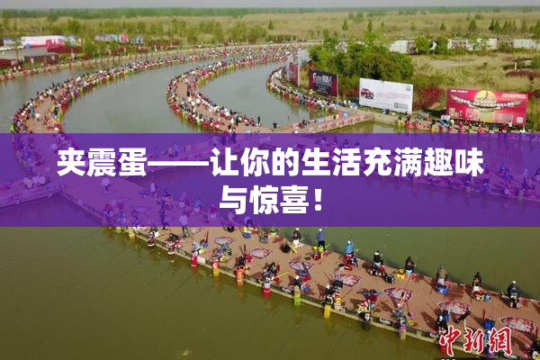 夹震蛋——让你的生活充满趣味与惊喜！