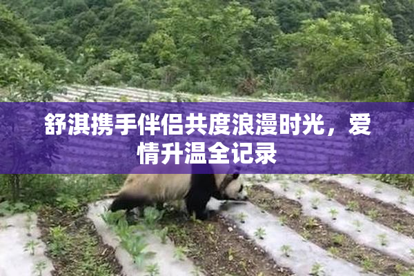 舒淇携手伴侣共度浪漫时光，爱情升温全记录