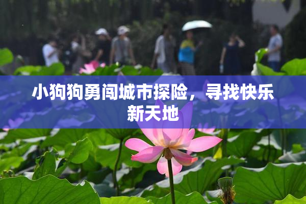 小狗狗勇闯城市探险，寻找快乐新天地