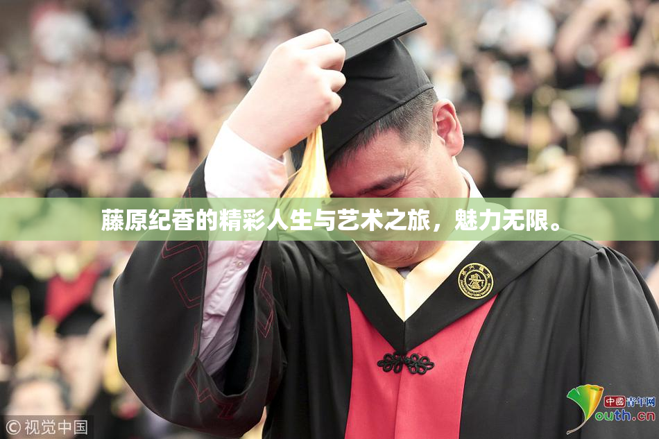 藤原纪香的精彩人生与艺术之旅，魅力无限。