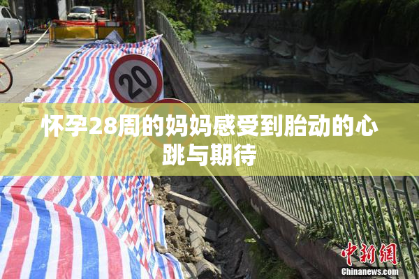 怀孕28周的妈妈感受到胎动的心跳与期待